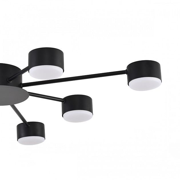 Люстра LUMION TORINA 8344/8C - фото 7