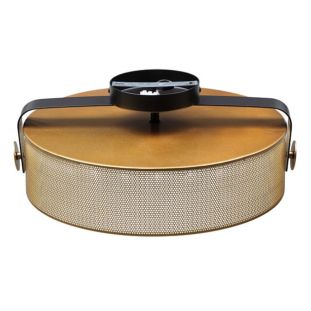 Потолочный светильник LUMION DRUMY 6597/40L - фото 5