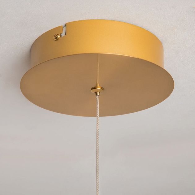 Подвесной светильник MAYTONI PLUME MOD340PL-L20BS3K - фото 8