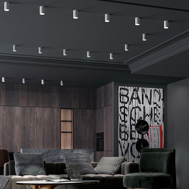 Светильник накладной NOVOTECH ELINA 370726 - фото 3