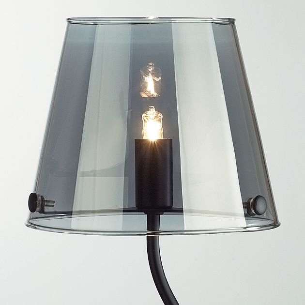 Настольная лампа LUMION SMOKY 6570/1T - фото 5