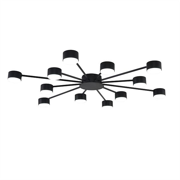 Люстра LUMION TORINA 8344/12C - фото 3